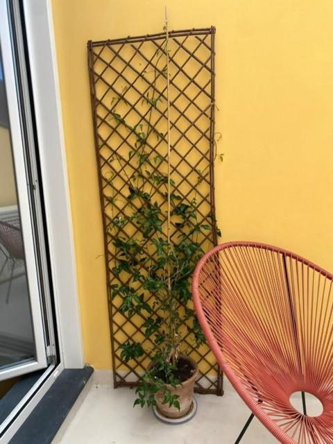 Waterfront Balcony I Grani 5 Resort Grand Suite Livorno Exterior photo